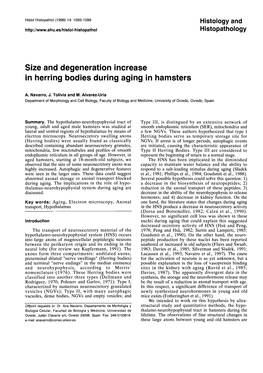 Size and Degeneration Increase in Herring Bodies During Aging in Hamsters