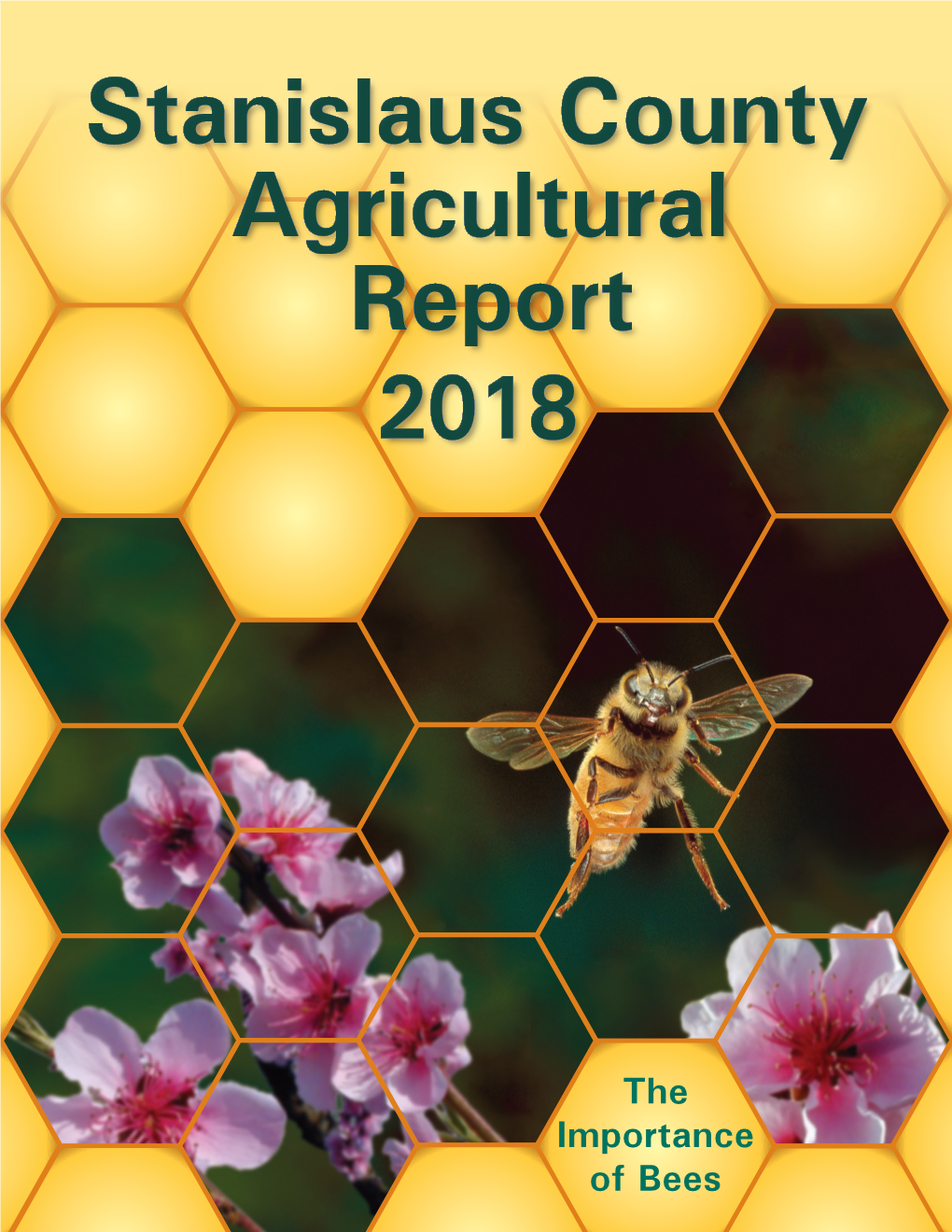 Stanislaus County Agricultural Report 2018
