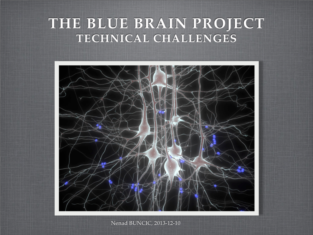 The Blue Brain Project Technical Challenges