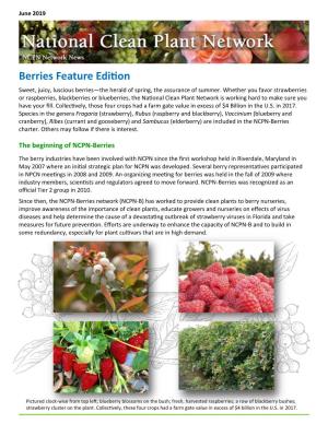 Berries Feature Edition Sweet, Juicy, Luscious Berries—The Herald of Spring, the Assurance of Summer
