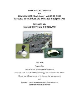 Final Restoration Plan for Common Loon and Other Birds Impacted by the Bouchard Barge 120 (B-120) Oil Spill, Buzzards Bay Massachusetts and Rhode Island