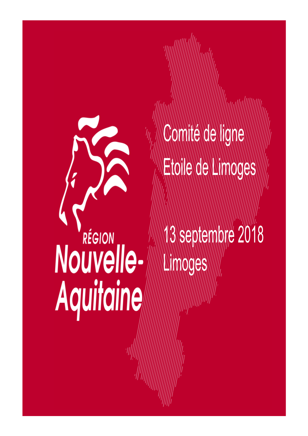 Présentation Région Nouvelle-Aquitaine, Comité De