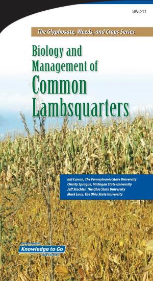 Biology and Management of Common Lambsquarters
