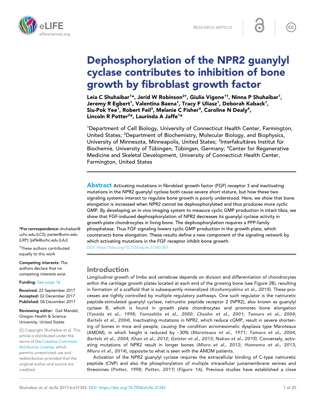 Dephosphorylation of the NPR2 Guanylyl Cyclase