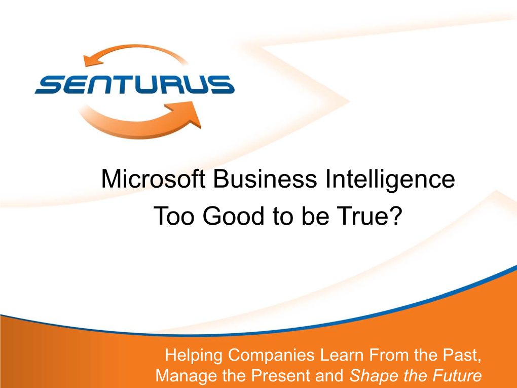 Microsoft Business Intelligence Too Good to Be True?