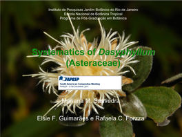 Systematics of Dasyphyllum (Asteraceae)