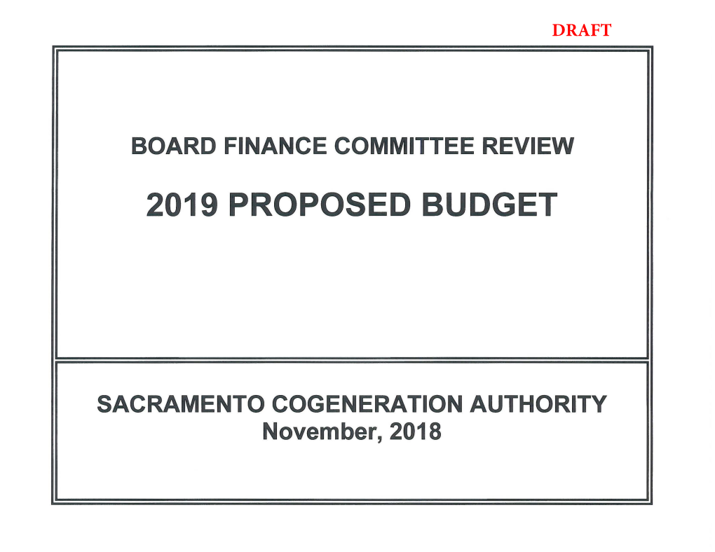 2019 Proposed Budget