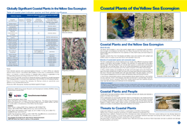 Coastal Plants of the Yellow Sea Ecoregion