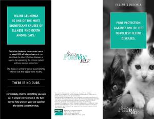 Feline Leukemia Brochure