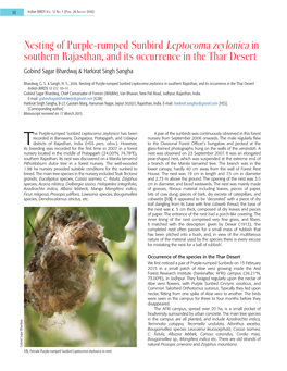 Nesting of Purple-Rumped Sunbird Leptocoma Zeylonica in Southern Rajasthan, and Its Occurrence in the Thar Desert Gobind Sagar Bhardwaj & Harkirat Singh Sangha