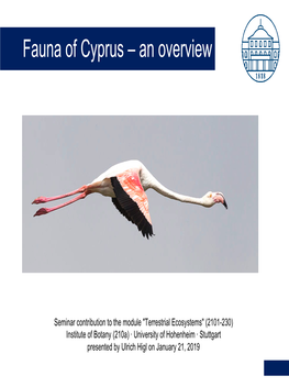 Overview of the Fauna in Cyprus