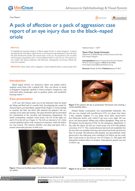 Case Report of an Eye Injury Due to the Black–Naped Oriole