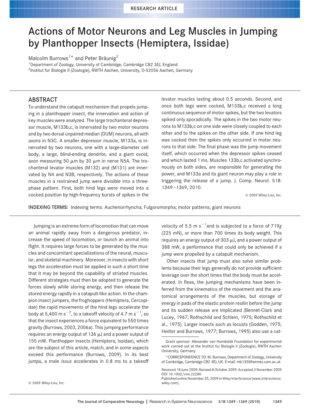 Actions of Motor Neurons and Leg Muscles in Jumping by Planthopper Insects (Hemiptera, Issidae)