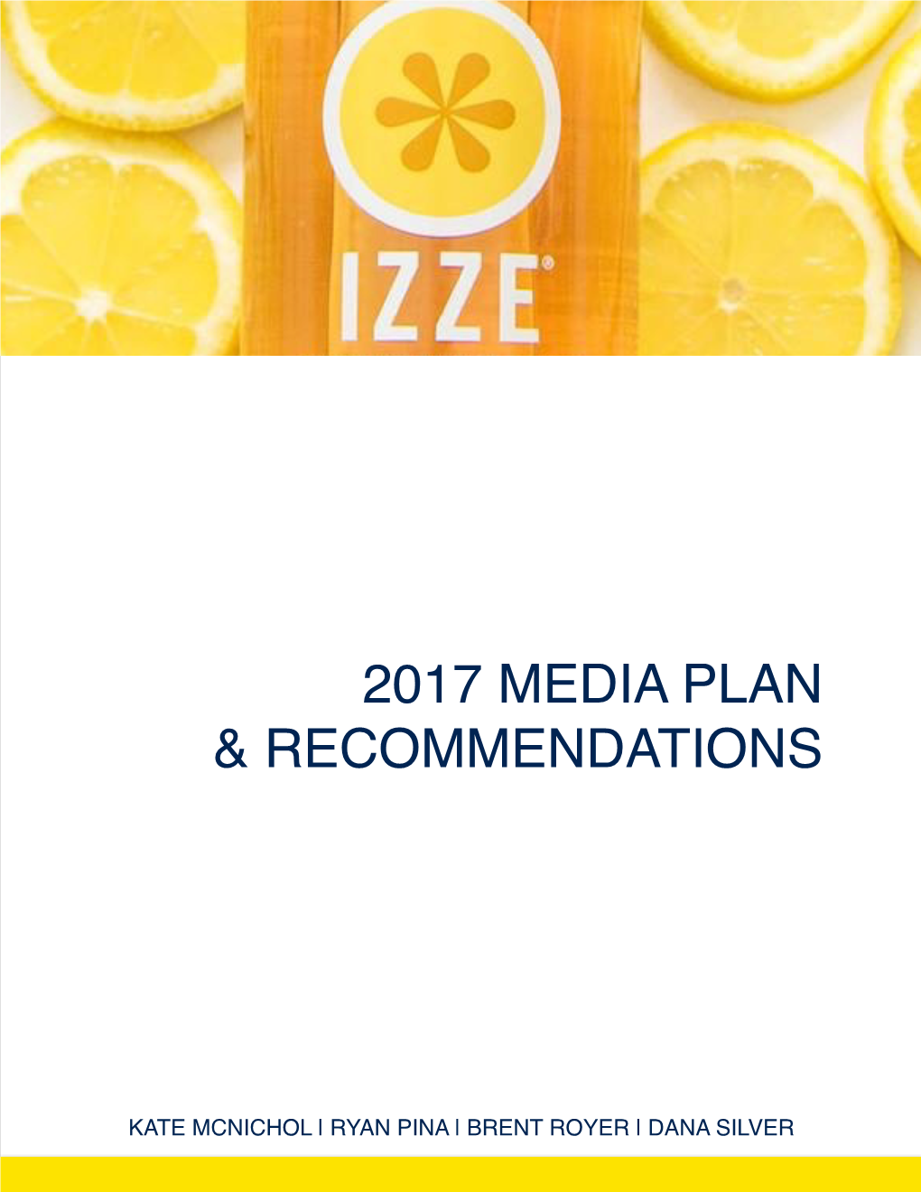 2017 Media Plan & Recommendations