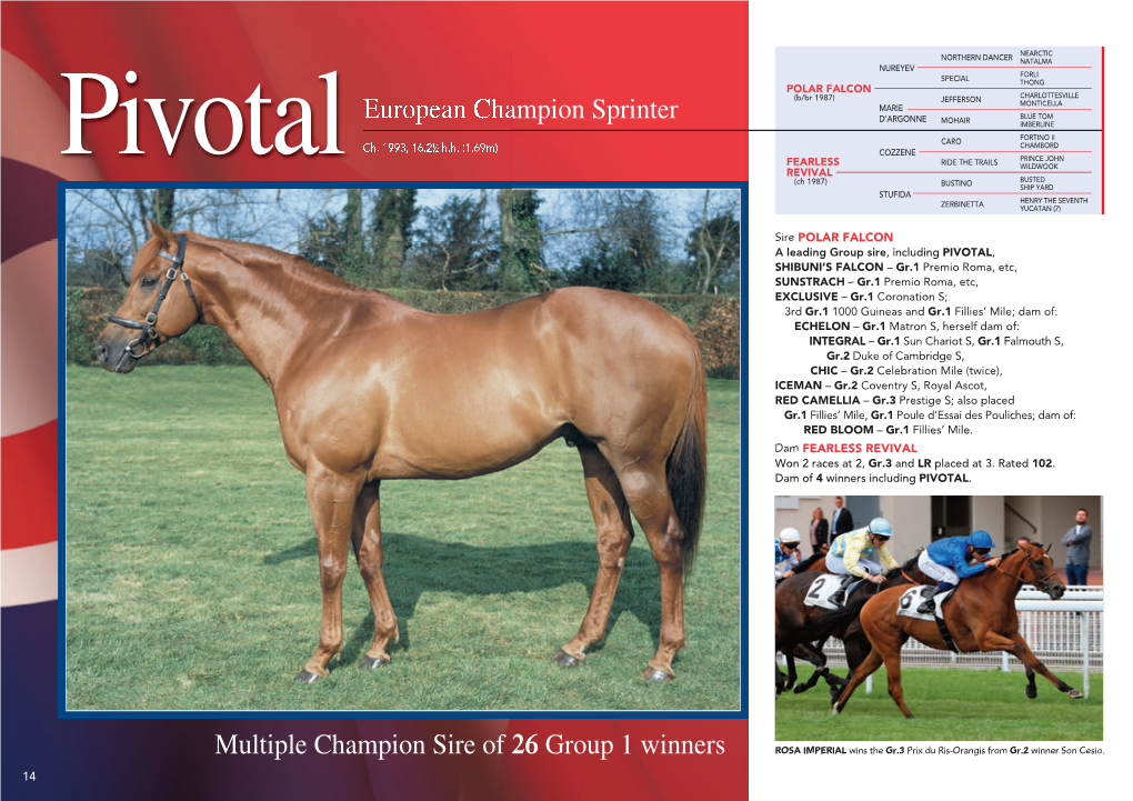 Multiple Champion Sire of 26 Group 1 Winners European Champion Sprinter