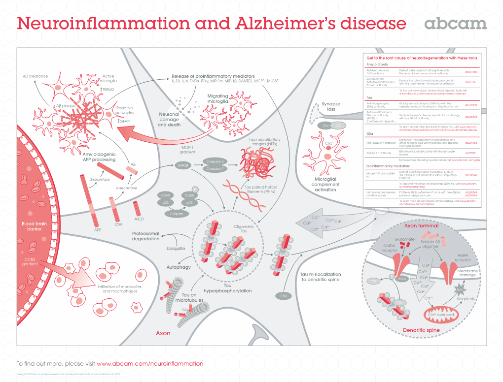 Neuroinflammation and Alzheimer's Disease