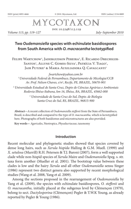 Two &lt;I&gt;Oudemansiella&lt;/I&gt; Species with Echinulate Basidiospores From