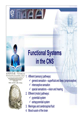 CNS Pathways Functionalfunctional Systemssystems Inin Thethe CNSCNS