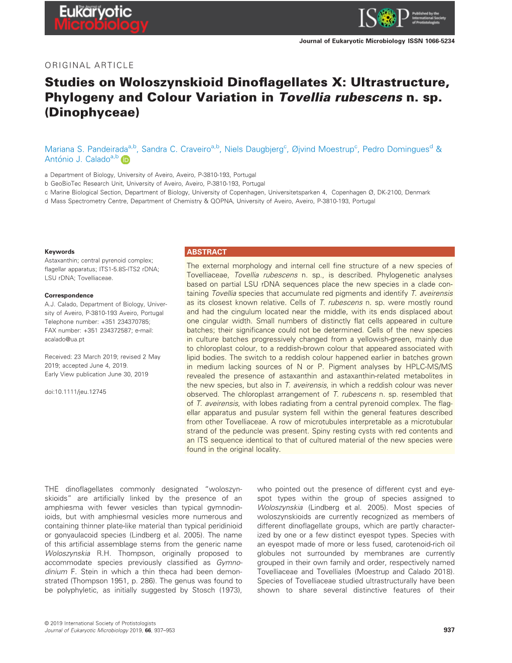 Ultrastructure, Phylogeny and Colour Variation in Tovellia Rubescens N. Sp