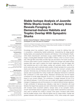 Stable Isotope Analysis of Juvenile White Sharks Inside a Nursery Area Reveals Foraging in Demersal-Inshore Habitats and Trophic Overlap with Sympatric