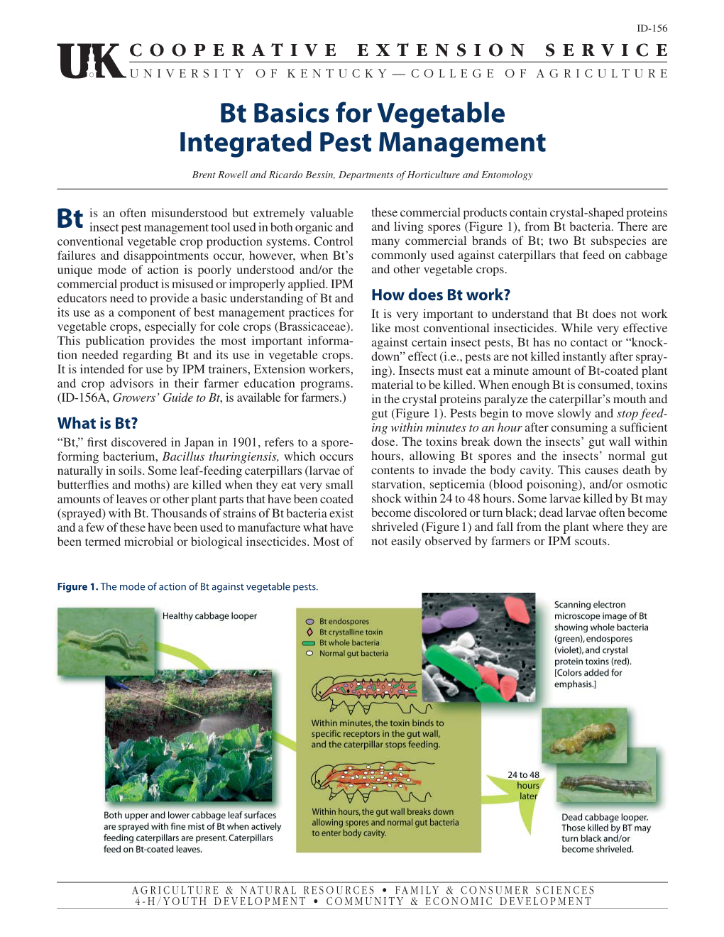 Bt Basics for Vegetable Integrated Pest Management