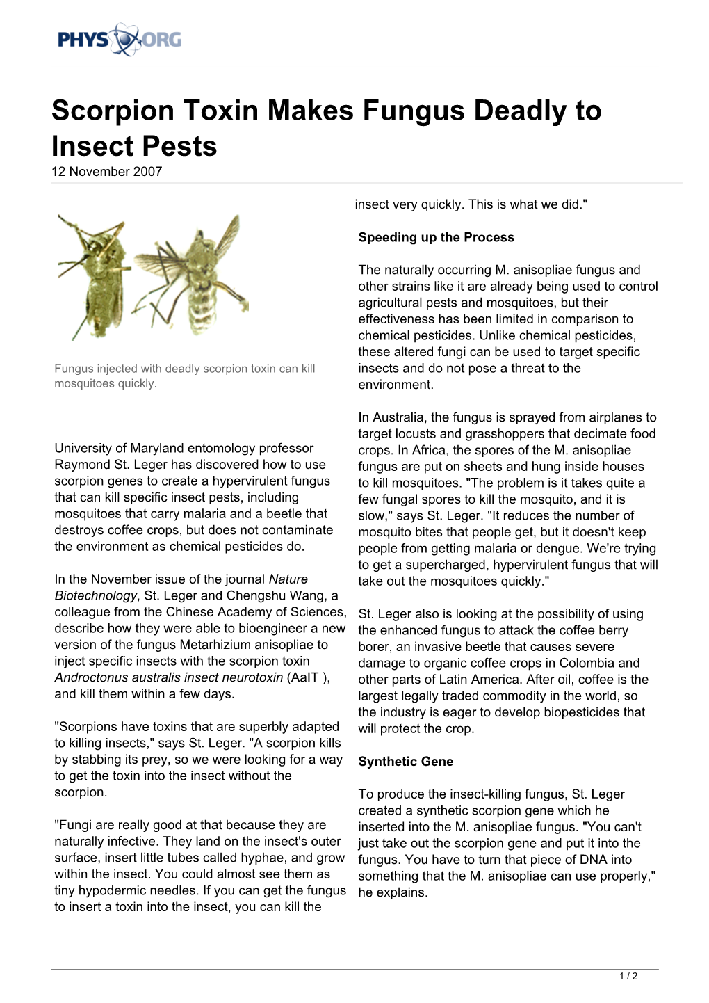 Scorpion Toxin Makes Fungus Deadly to Insect Pests 12 November 2007