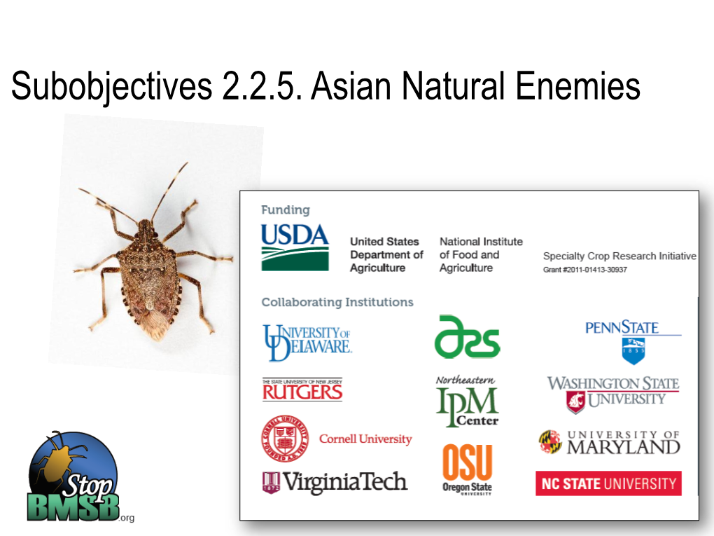 Asian Natural Enemies Host Range Evaluations– a Team Effort to Fast-Track the Evaluation Process