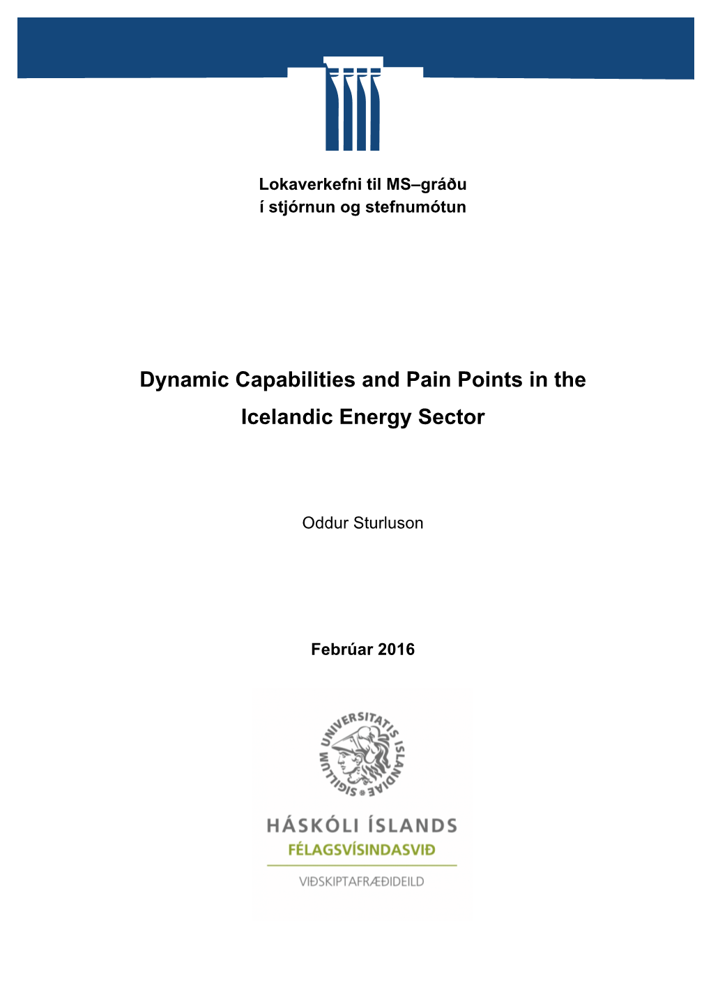Dynamic Capabilities and Pain Points in the Icelandic Energy Sector