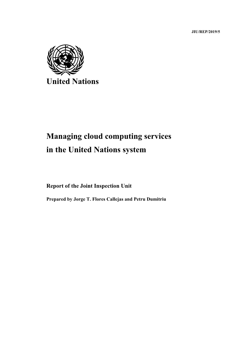 Managing Cloud Computing Services in the United Nations System