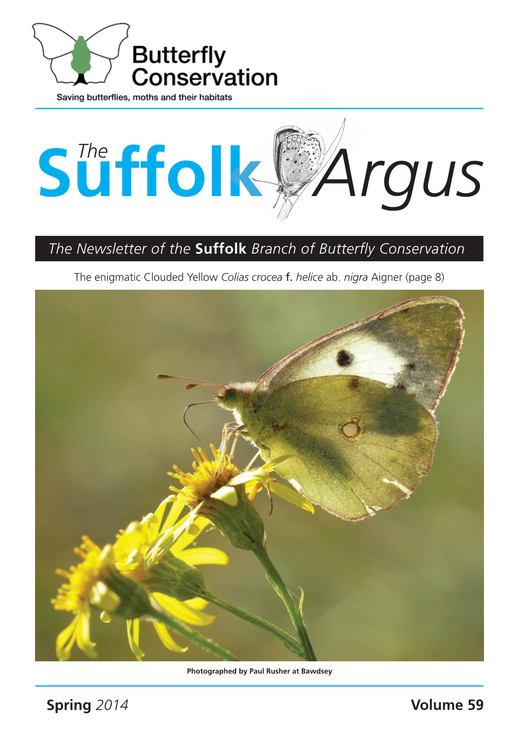 Suffolk Argus  Suffolk Butterflies 2013