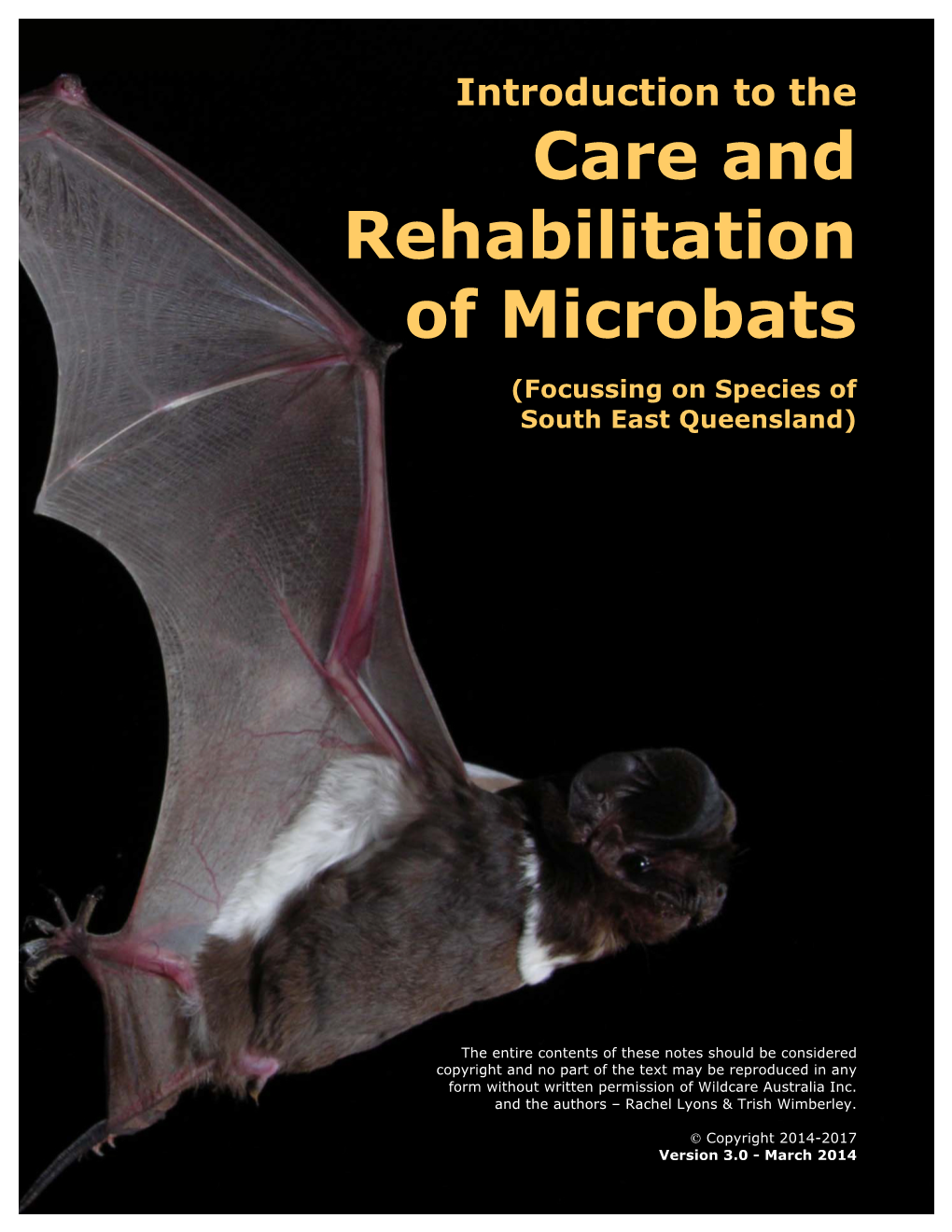 Care and Rehabilitation of Microbats