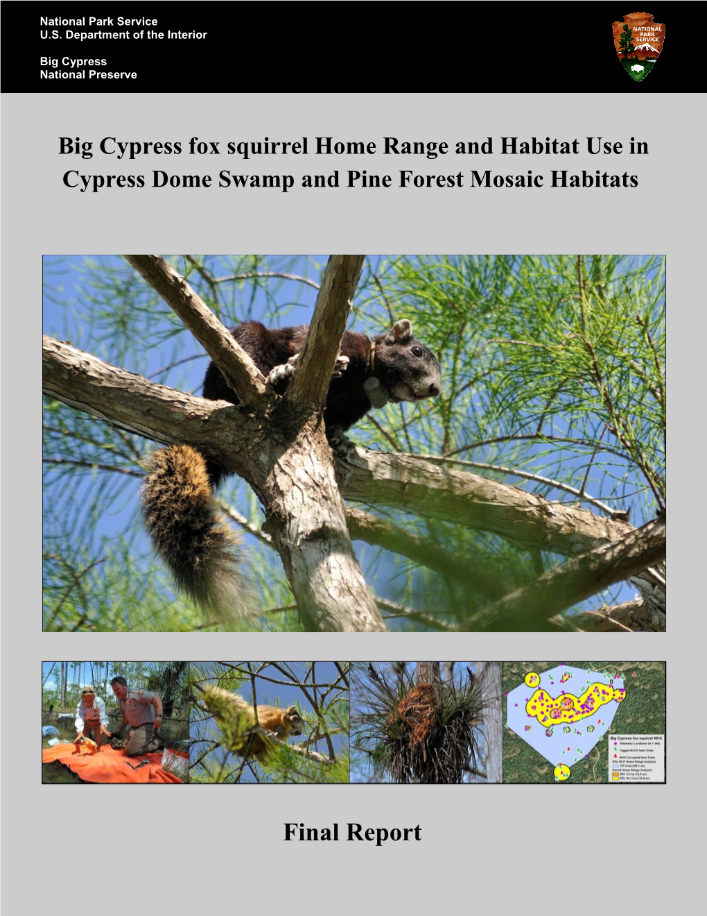 Cypress Dome Swamp-Pine Forest Mosaic Habitats: (1) Presence of BCFS Nest Structures (Fig