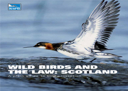 WILD BIRDS and the LAW: SCOTLAND a Plain Guide to Bird Protection Red-Necked Phalarope by Guy Shorrock (RSPB)