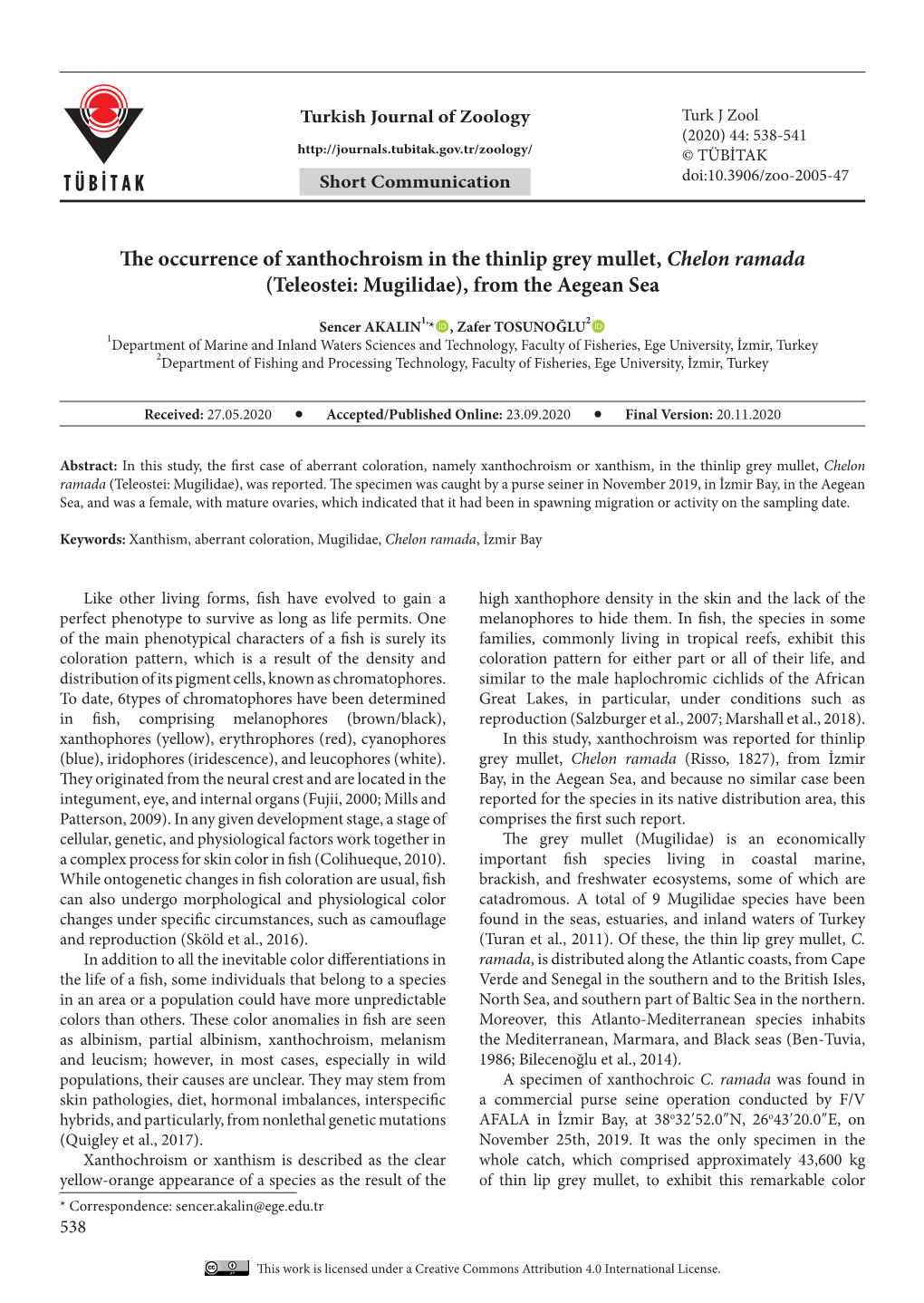 The Occurrence of Xanthochroism in the Thinlip Grey Mullet, Chelon Ramada (Teleostei: Mugilidae), from the Aegean Sea