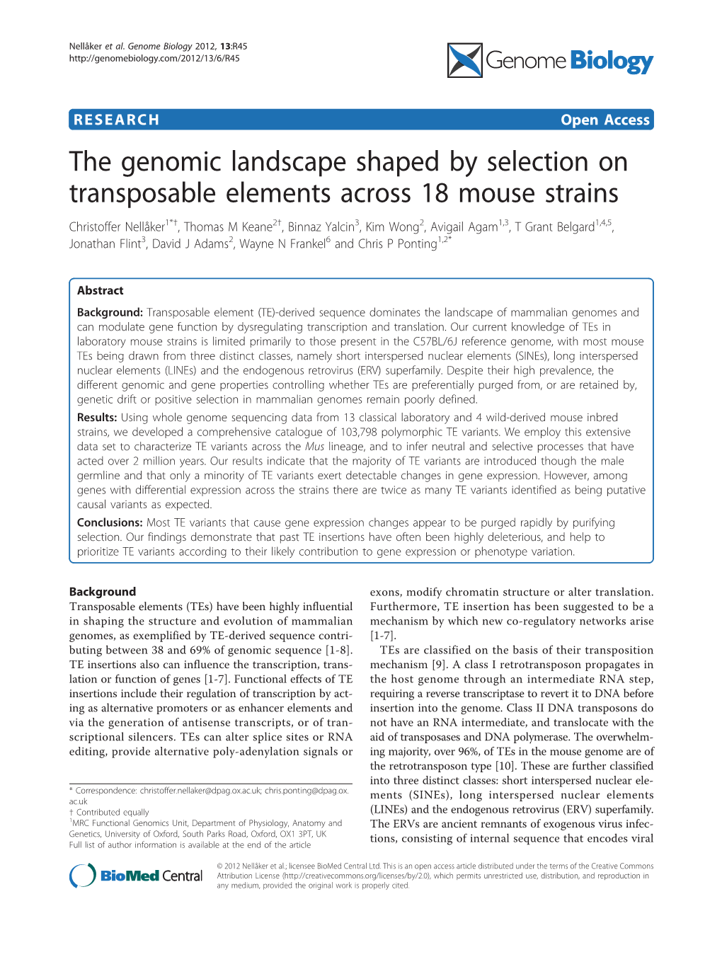 The Genomic Landscape Shaped by Selection on Transposable Elements