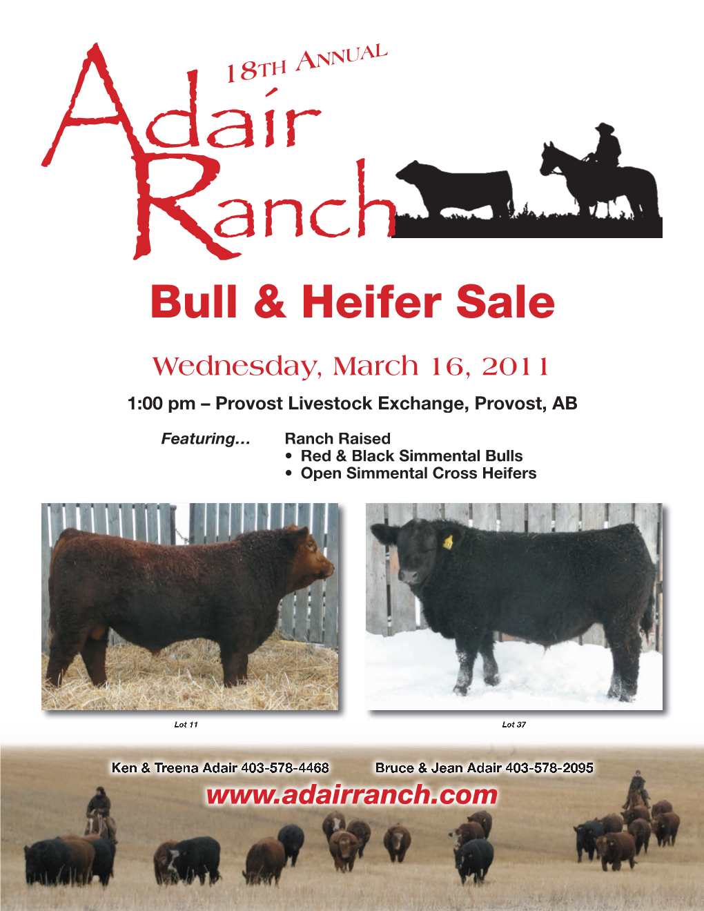 Bull & Heifer Sale