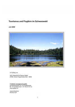 Tourismus Und Fluglärm Im Schwarzwald Kallisto K Management Gmbh