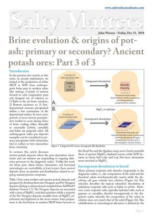 Ancient Potash Ores