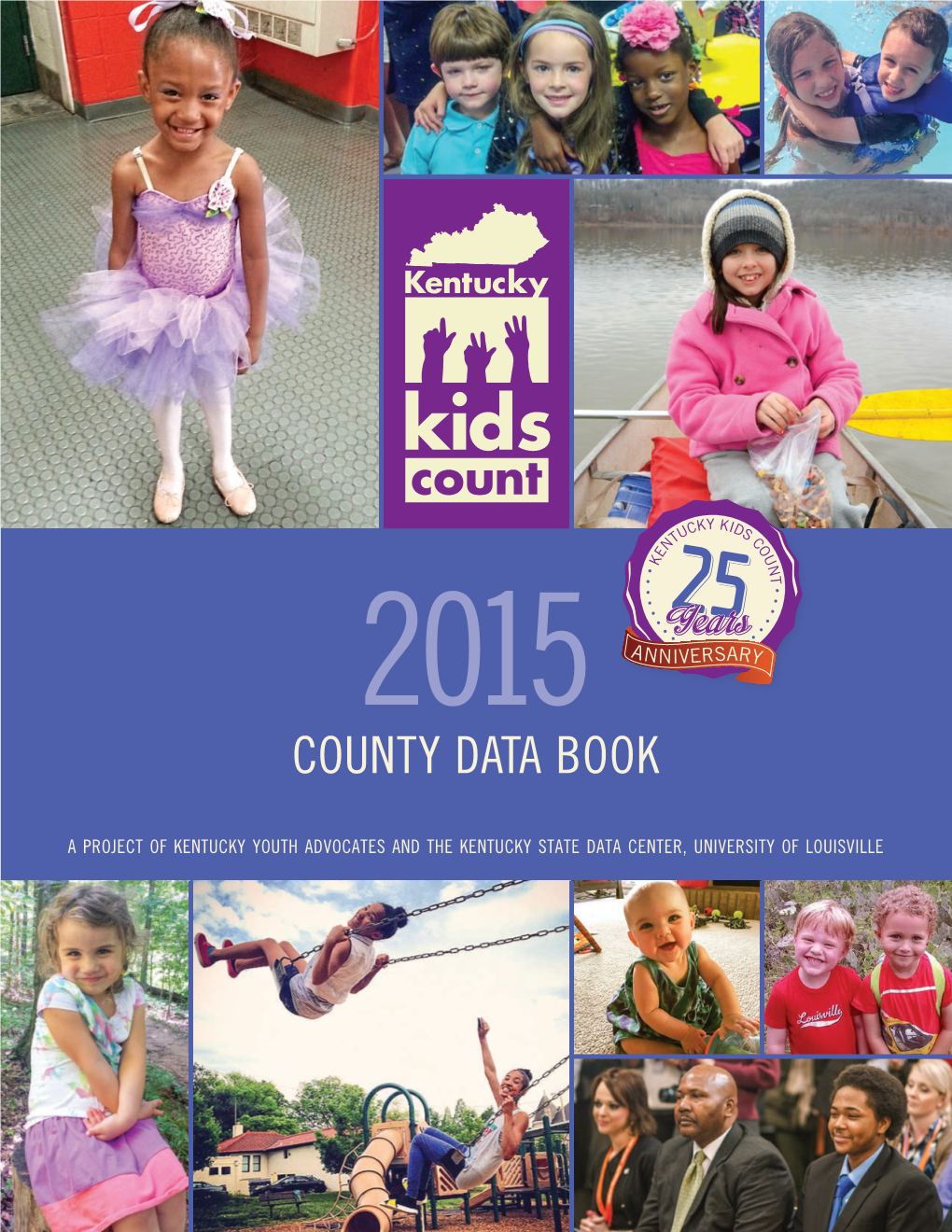 County Data Book