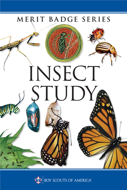 Insect Study Merit Badge Pamphlet 35911