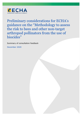 Preliminary Considerations for ECHA's Guidance on the “Methodology To