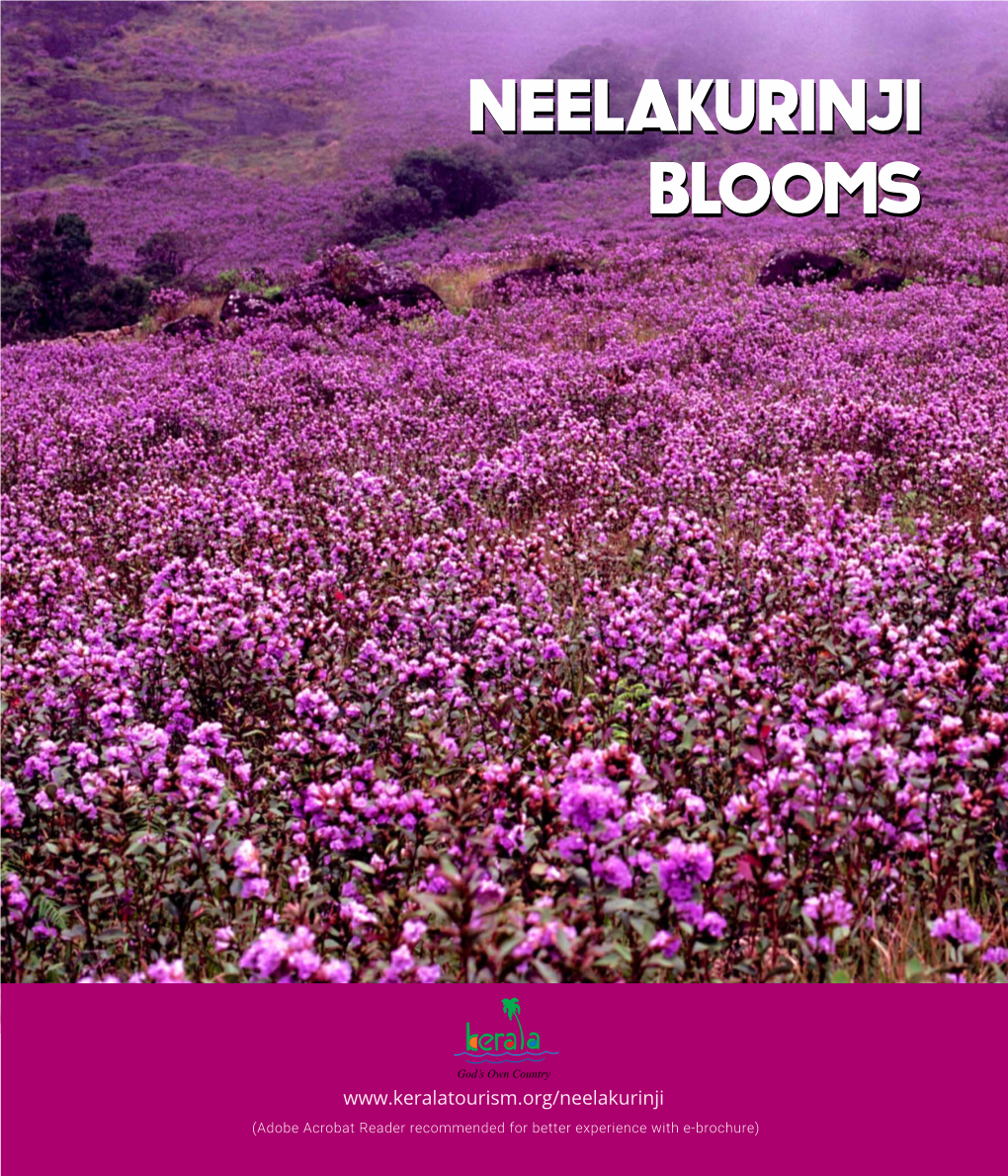 Neelakurinji-Ebrochure.Pdf