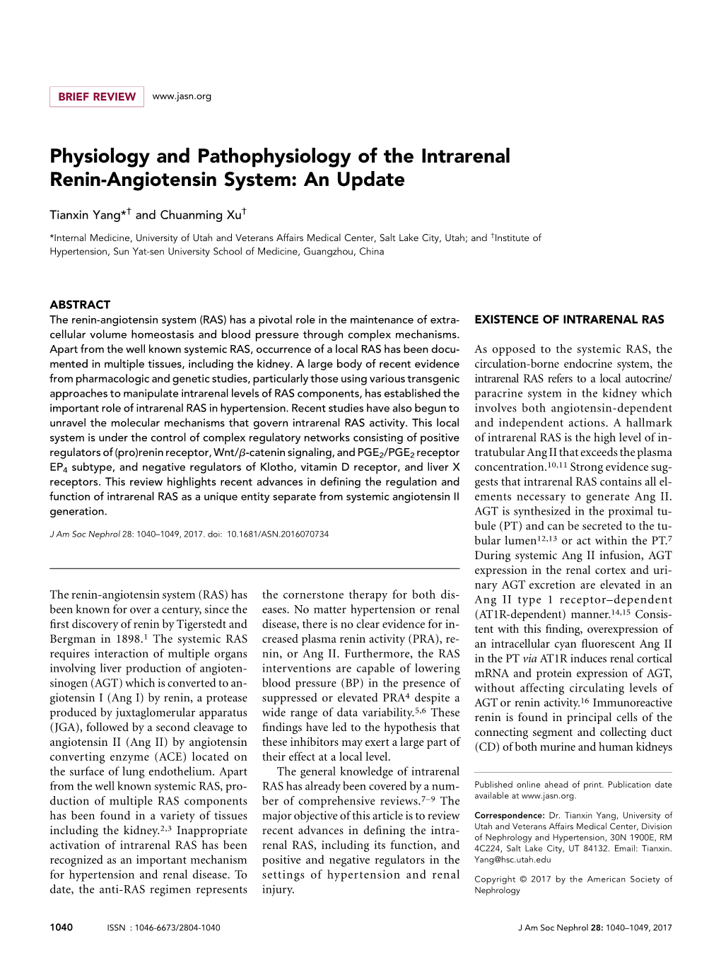 Physiology and Pathophysiology of the Intrarenal Renin-Angiotensin System: an Update