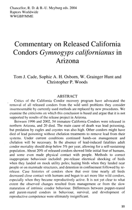 Commentary on Released California Condors Gymnogyps Californianus in Arizona