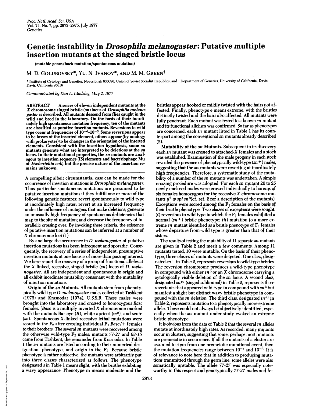 Genetic Instability in Drosophila Melanogaster: Putative Multiple Insertion Mutants at the Singed Bristle Locus (Mutable Genes/Back Mutation/Spontaneous Mutation) M