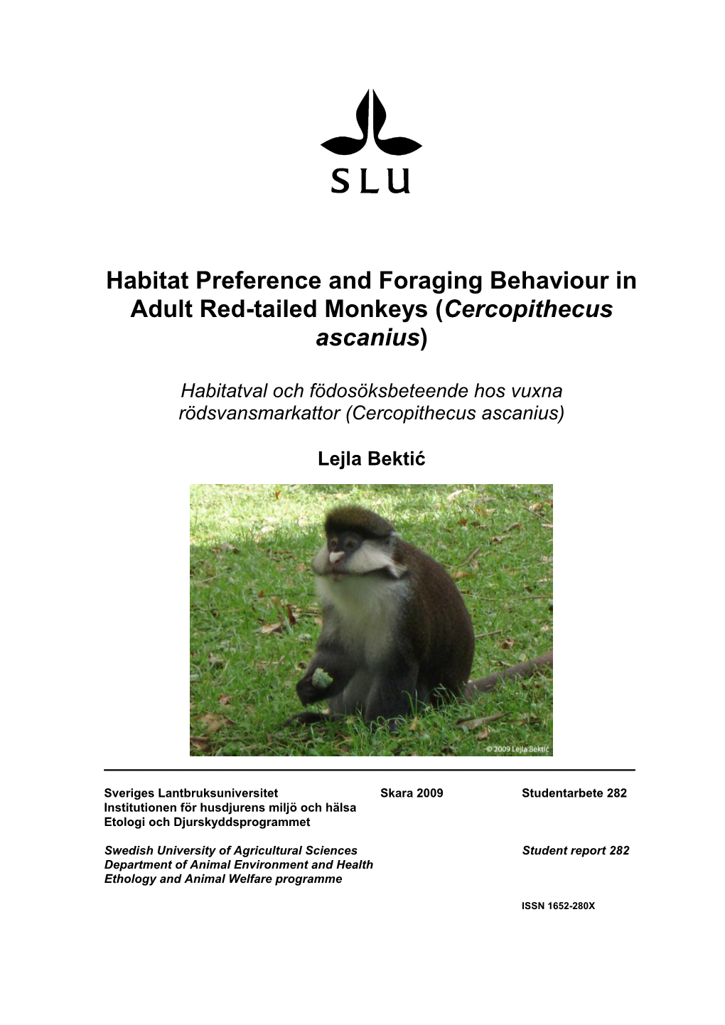 Habitat Preference and Foraging Behaviour in Adult Red-Tailed Monkeys (Cercopithecus Ascanius)