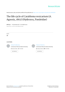 The Life Cycle of Catablema Vesicarium (A. Agassiz, 1862) (Hydrozoa, Pandeidae)
