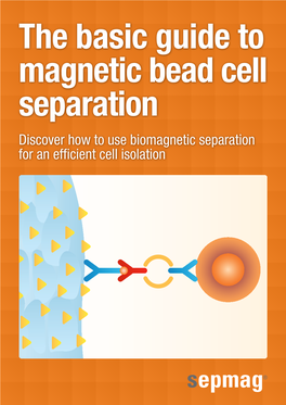 Discover How to Use Biomagnetic Separation for an Efficient Cell Isolation 2