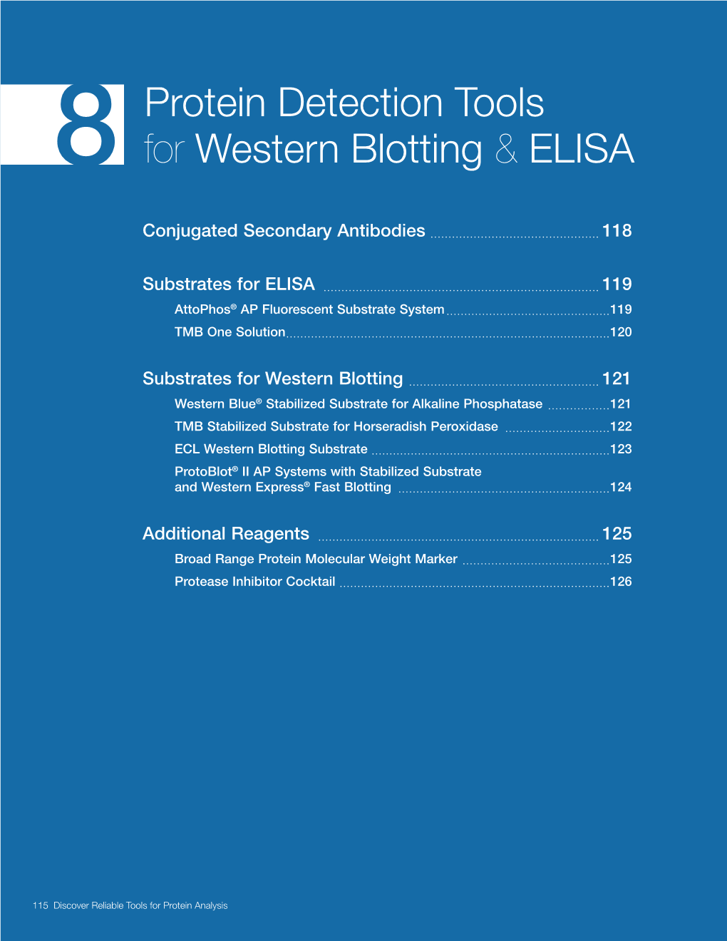 8 Protein Detection Tools for Western Blotting & ELISA