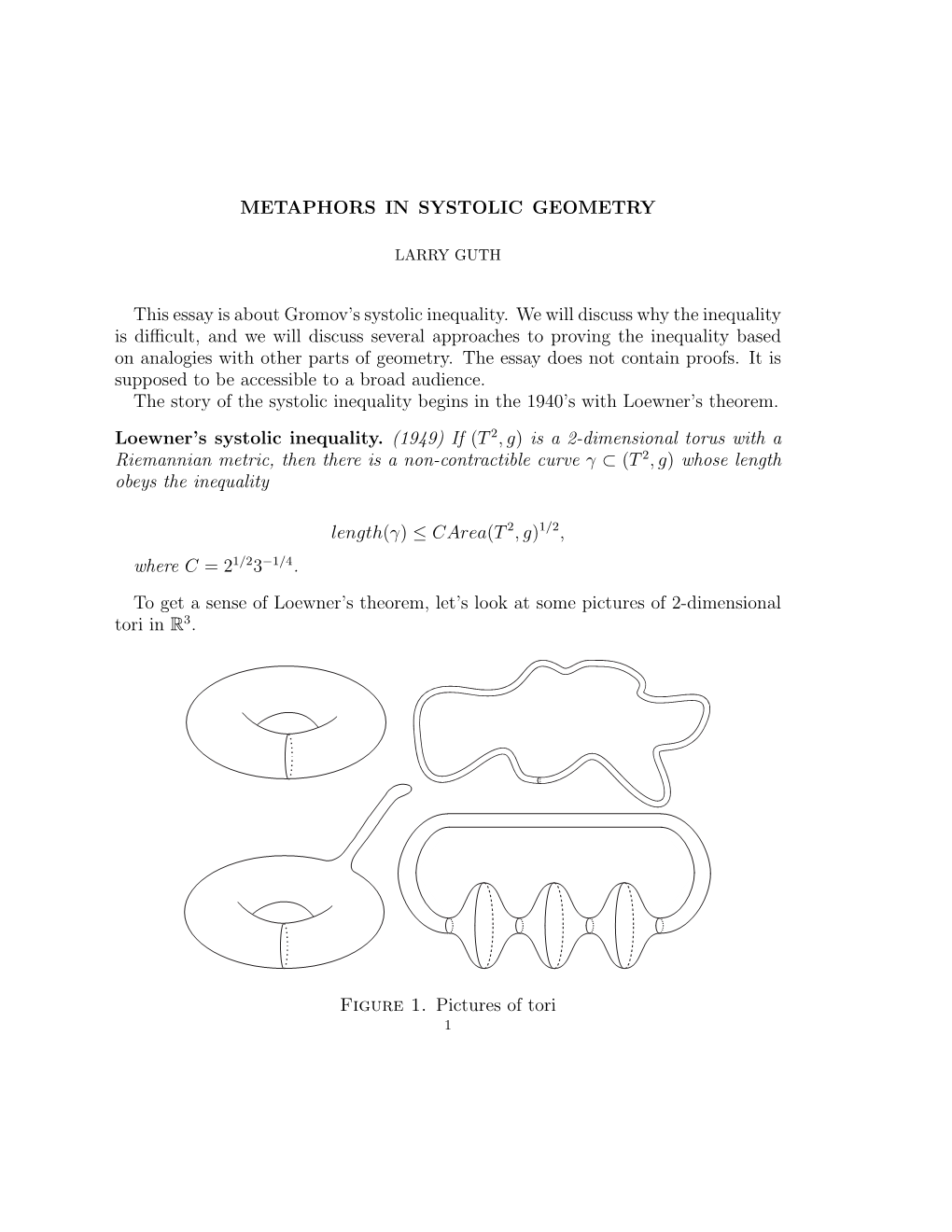 METAPHORS in SYSTOLIC GEOMETRY This Essay Is About